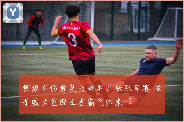 樊振东伤愈复出世界乒联冠军赛 正手威力重现王者霸气归来