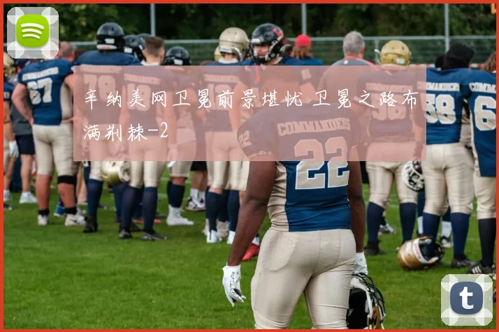 辛纳美网卫冕前景堪忧 卫冕之路布满荆棘