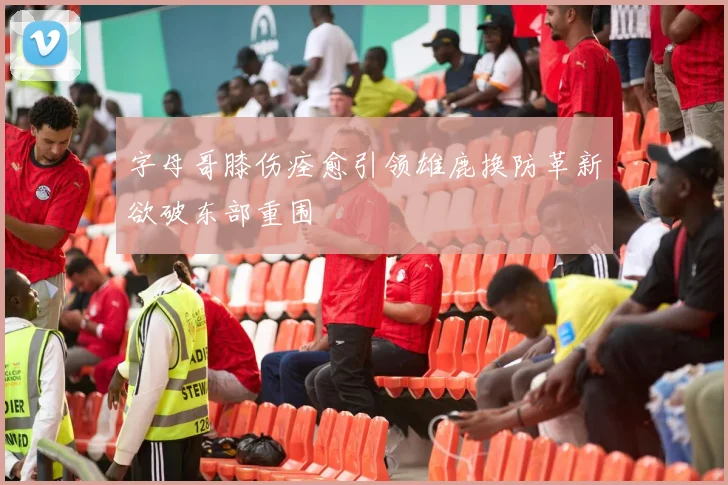 字母哥膝伤痊愈引领雄鹿换防革新欲破东部重围